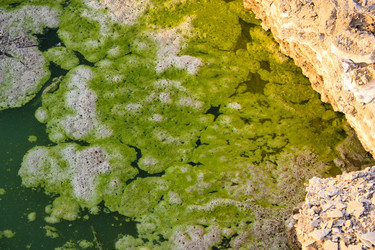 Similar image 19202127