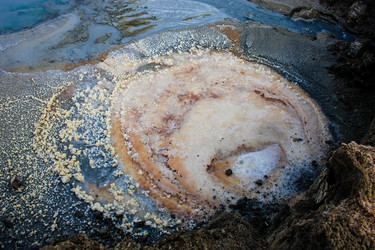 Similar image 19202200