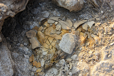 Similar image 19202038