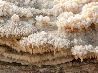 Similar image 19202129