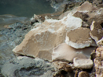 Similar image 19202145