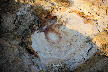 Similar image 19202150