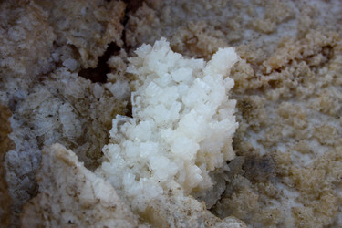 Similar image 19202155