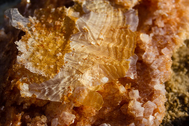 Similar image 19202203