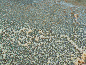 Similar image 19202173