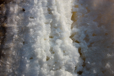 Similar image 19202177