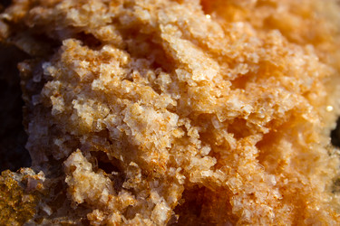 Similar image 19202202