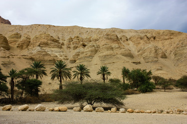 Similar image 19202063