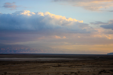 Similar image 19202209