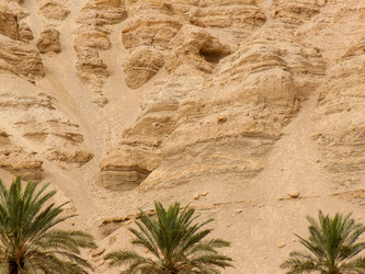 Similar image 19202117