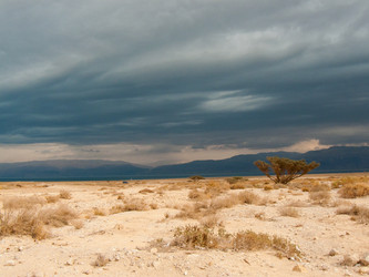 Similar image 19202124