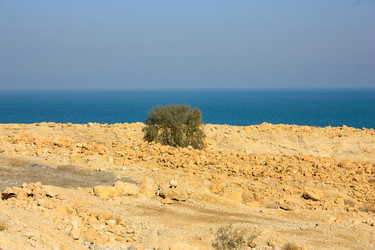 Similar image 19202134