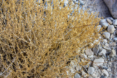 Similar image 19202064