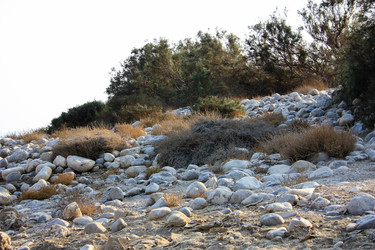 Similar image 19202083