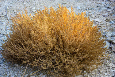 Similar image 19202098