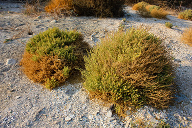 Similar image 19202100