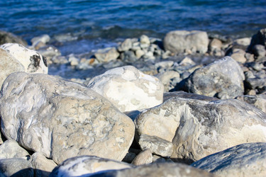 Similar image 19202160