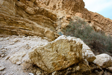 Similar image 19202072