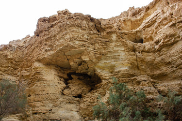 Similar image 19202133