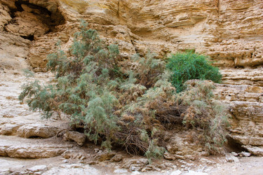 Similar image 19202102