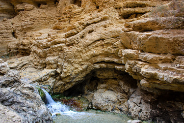 Similar image 19202135