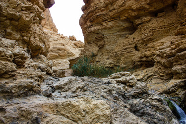 Similar image 19202140