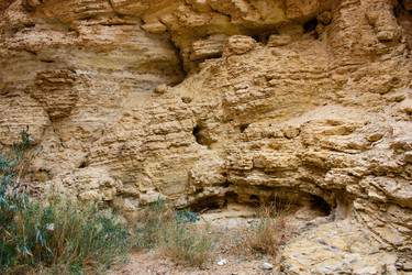 Similar image 19202205