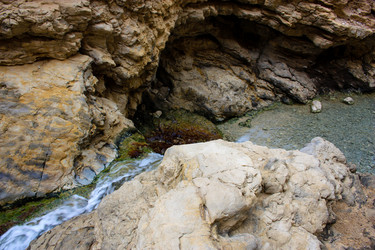 Similar image 19202212