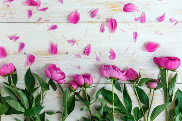 Similar image 19502208