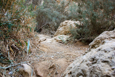 Similar image 19202043