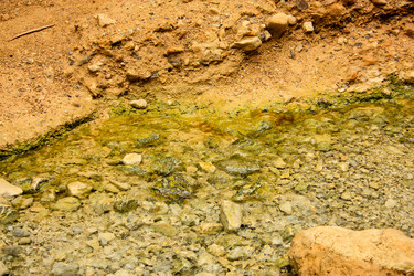 Similar image 19202126