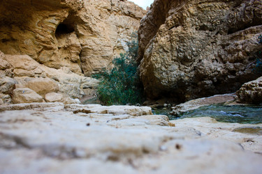 Similar image 19202136