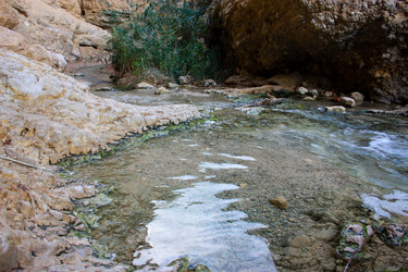 Similar image 19202138