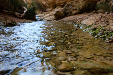 Similar image 19202156