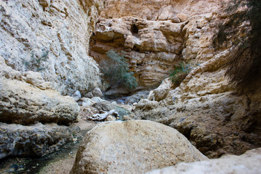 Similar image 19202158