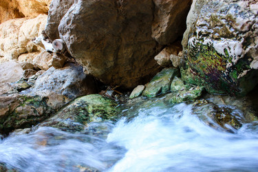 Similar image 19202216