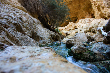 Similar image 19202217