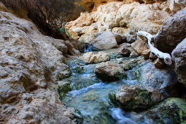 Similar image 19202228