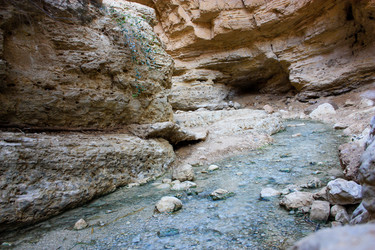 Similar image 19202231