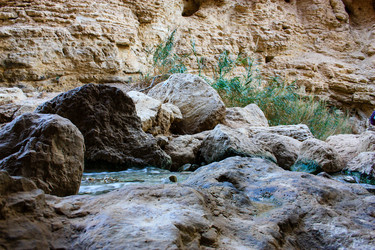 Similar image 19202181