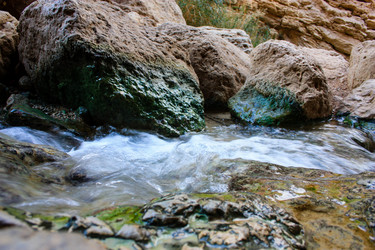 Similar image 19202182