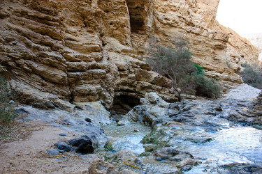 Similar image 19202183