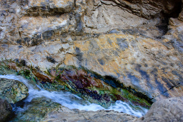 Similar image 19202184