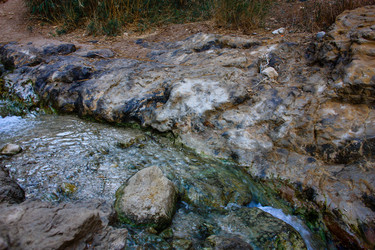 Similar image 19202186