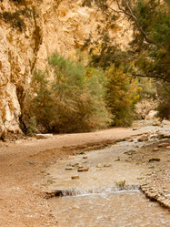 Similar image 19202229