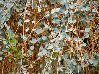 Similar image 19202233