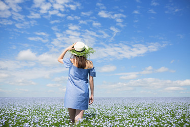 Similar image 19556958