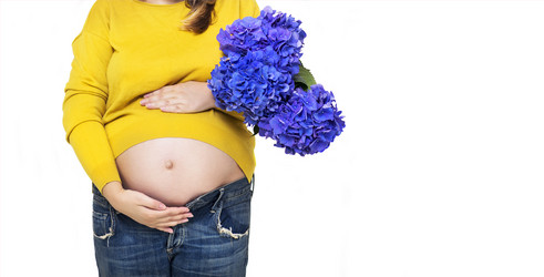 Similar image 19556995