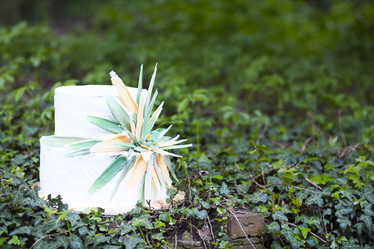 Similar image 19556996