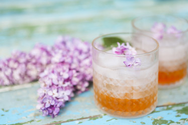 Similar image 19557004